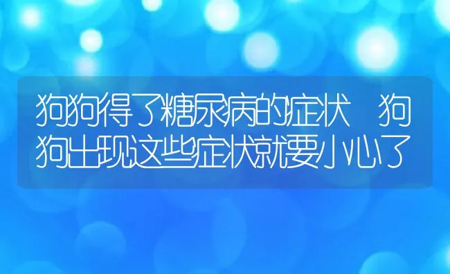 狗狗得了糖尿病的症状 狗狗出现这些症状就要小心了 | 宠物病虫害