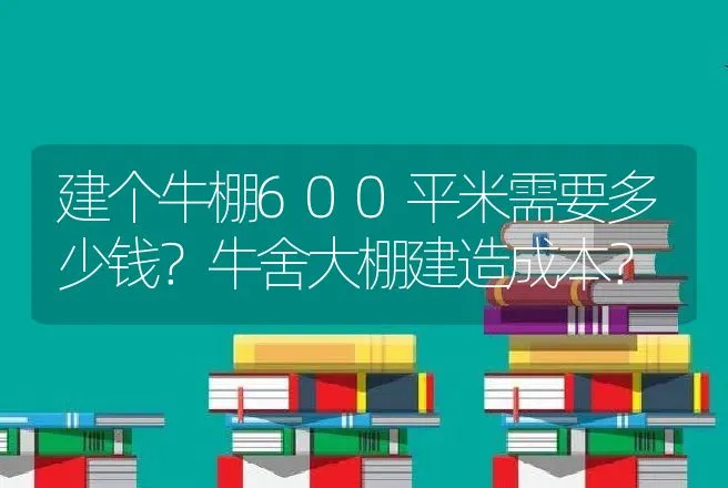 建个牛棚600平米需要多少钱？牛舍大棚建造成本？ | 兽医知识大全