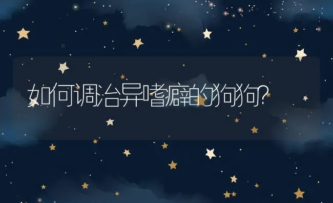 如何调治异嗜癖的狗狗？ | 宠物猫