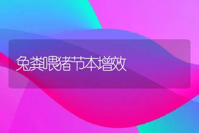 二线小丑鱼的人工繁殖 | 动物养殖