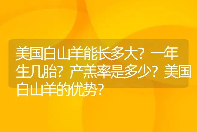 美国白山羊能长多大？一年生几胎？产羔率是多少？美国白山羊的优势？ | 动物养殖