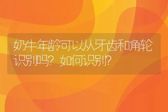 奶牛年龄可以从牙齿和角轮识别吗？如何识别？ | 动物养殖