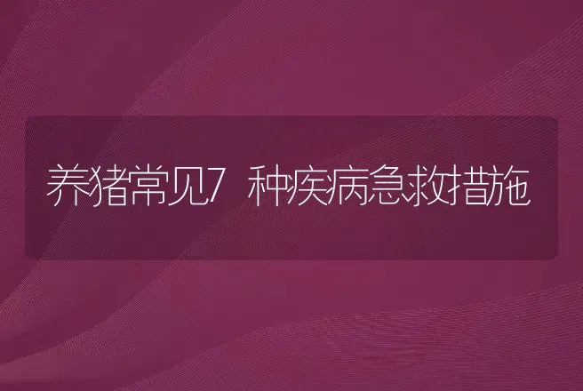 养猪常见7种疾病急救措施 | 兽医知识大全