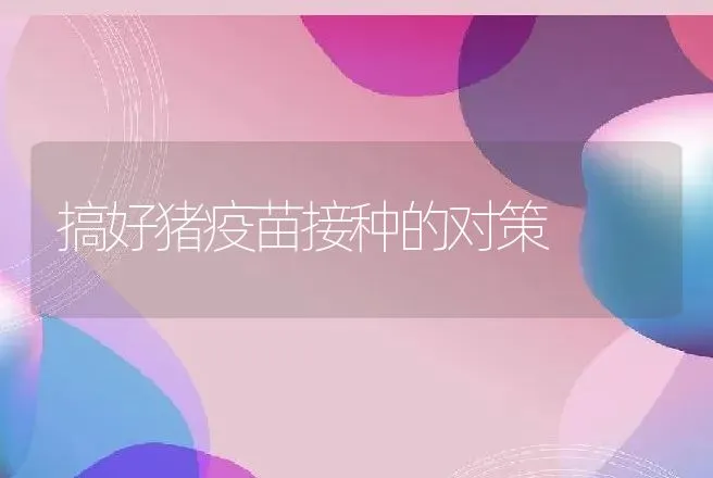 搞好猪疫苗接种的对策 | 动物养殖