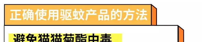 驱蚊产品会害死猫猫?真相是这样的~ | 宠物猫病虫害防治