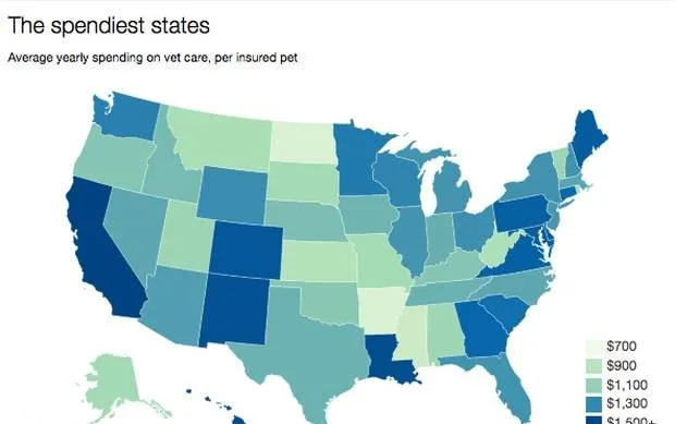 在美国，平均6秒就有宠主收到3000美元的宠物医疗账单 | 宠物行业洞察