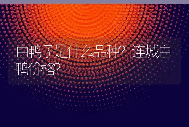 白鸭子是什么品种？连城白鸭价格？ | 动物养殖