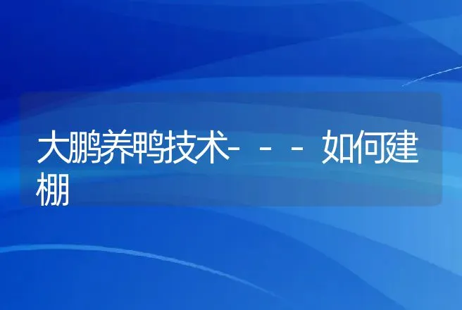 建一个养羊的大棚多少钱?养羊大棚如何建设? | 兽医知识大全