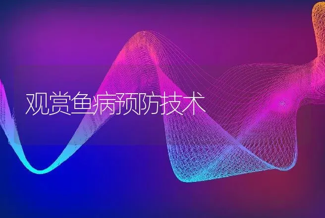 观赏鱼病预防技术 | 动物养殖