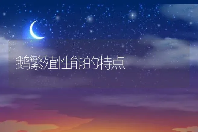 鹅繁殖性能的特点 | 动物养殖