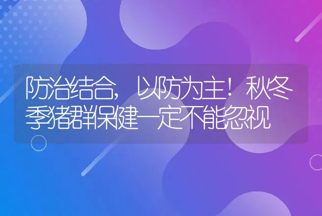 防治结合,以防为主!秋冬季猪群保健一定不能忽视 | 兽医知识大全