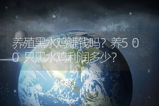 养殖黑水鸡赚钱吗？养500只黑水鸡利润多少？ | 养殖致富