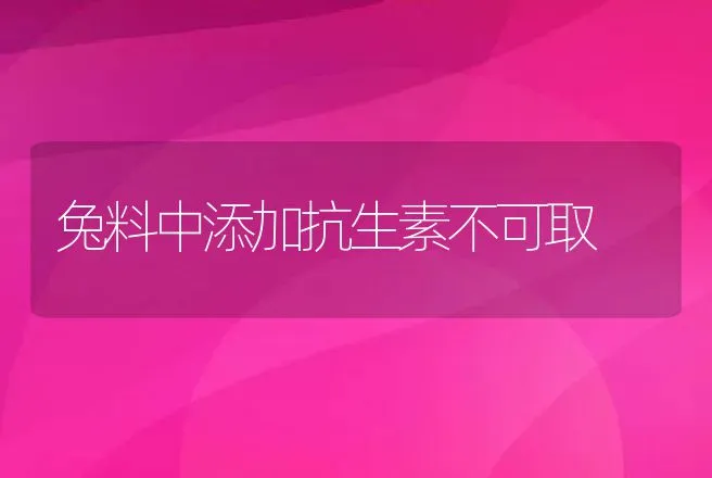 兔料中添加抗生素不可取 | 动物养殖