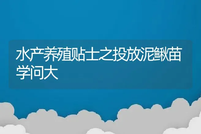 水产养殖贴士之投放泥鳅苗学问大 | 水产知识