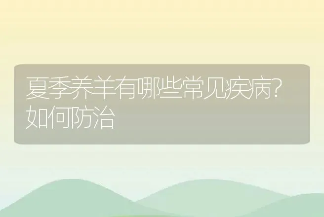 夏季养羊有哪些常见疾病？如何防治 | 家畜养殖