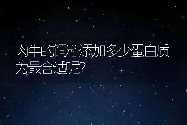 肉牛的饲料添加多少蛋白质为最合适呢？ | 家畜养殖