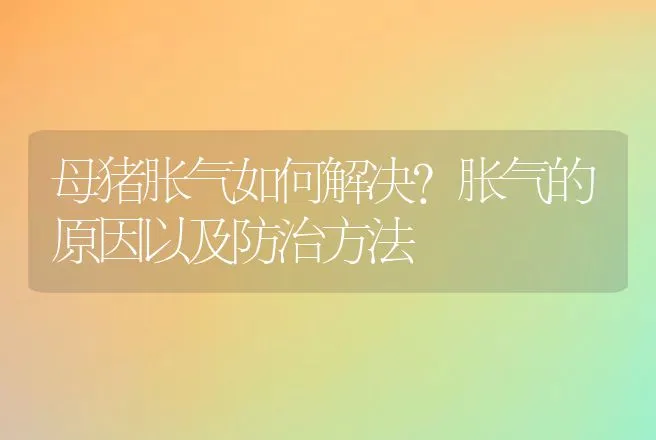 母猪胀气如何解决？胀气的原因以及防治方法 | 动物养殖