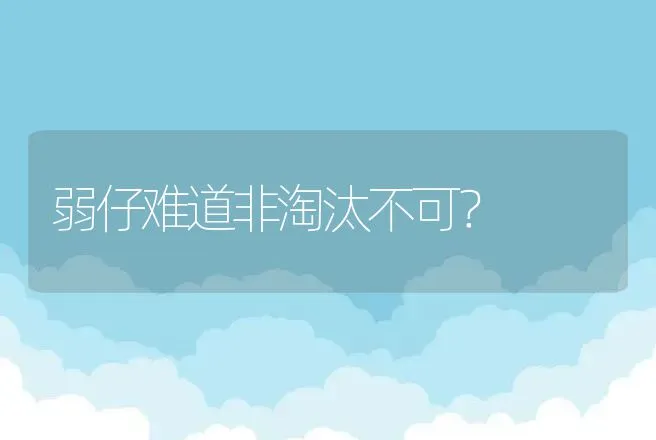 弱仔难道非淘汰不可？ | 家畜养殖