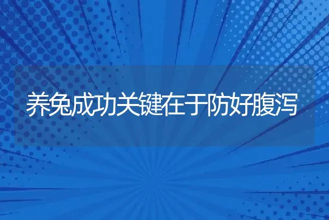 养兔成功关键在于防好腹泻 | 动物养殖