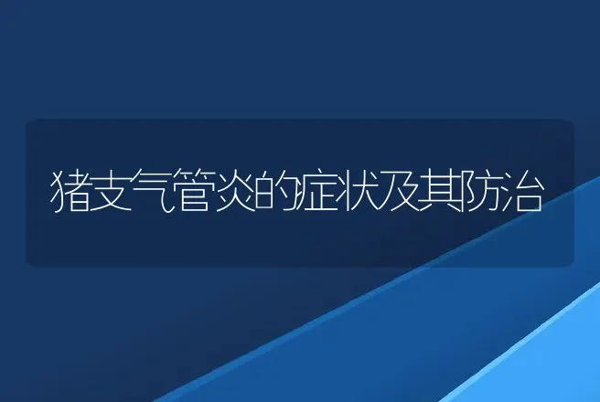 猪支气管炎的症状及其防治 | 动物养殖