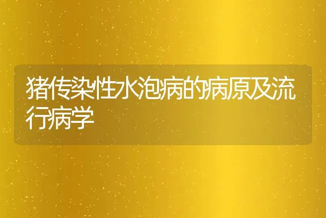 猪传染性水泡病的病原及流行病学 | 动物养殖