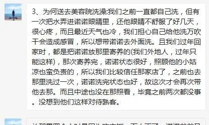 3月15日柯基诺诺最新情况汇总，已经有所好转，但仍未脱离危险！ | 宠物新闻资讯