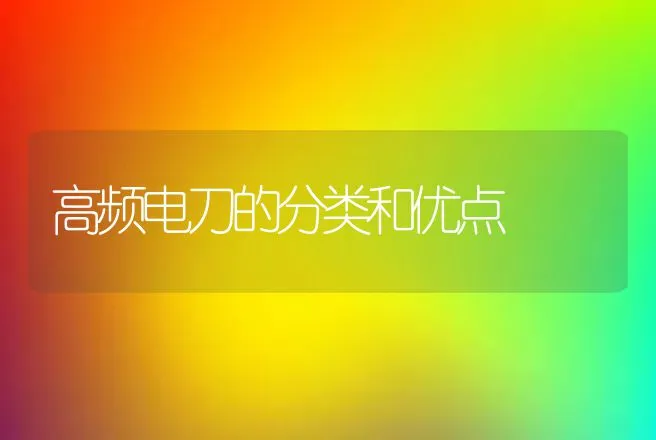 高频电刀的分类和优点 | 动物养殖