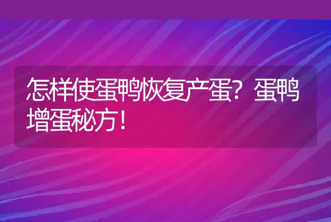 怎样使蛋鸭恢复产蛋？蛋鸭增蛋秘方！ | 家禽养殖