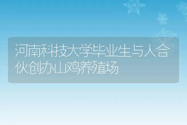 河南科技大学毕业生与人合伙创办山鸡养殖场 | 兽医知识大全