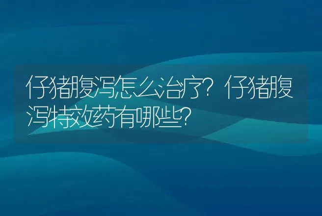 仔猪腹泻怎么治疗？仔猪腹泻特效药有哪些？ | 兽医知识大全