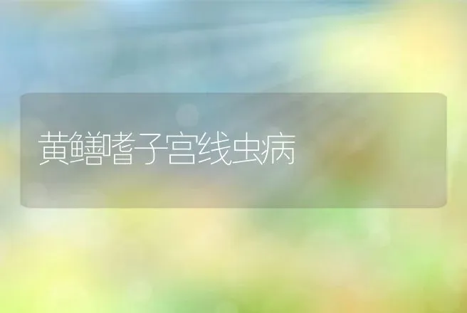 黄鳝嗜子宫线虫病 | 动物养殖