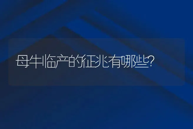 母牛临产的征兆有哪些？ | 家畜养殖