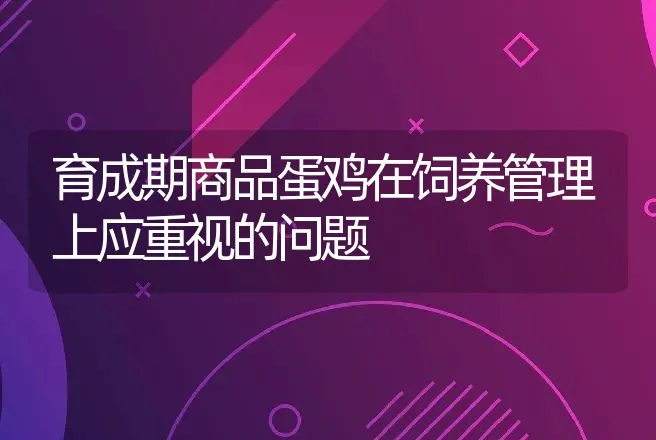 育成期商品蛋鸡在饲养管理上应重视的问题 | 动物养殖