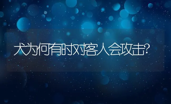 犬为何有时对客人会攻击? | 宠物训练技巧