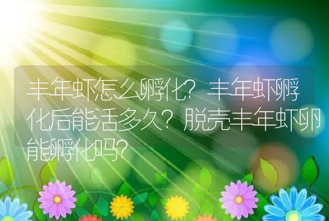 丰年虾怎么孵化？丰年虾孵化后能活多久？脱壳丰年虾卵能孵化吗？ | 动物养殖