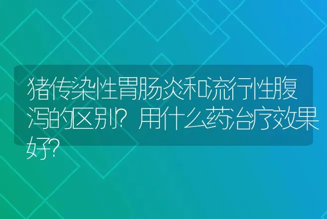 猪传染性胃肠炎和流行性腹泻的区别？用什么药治疗效果好？ | 兽医知识大全