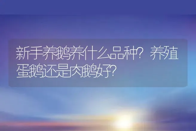 水牛养殖前景如何？水牛养殖周期是多久？ | 家畜养殖