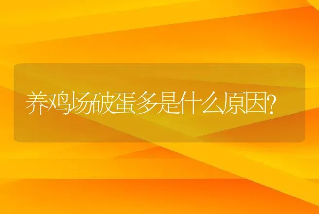 养鸡场破蛋多是什么原因？ | 家禽养殖