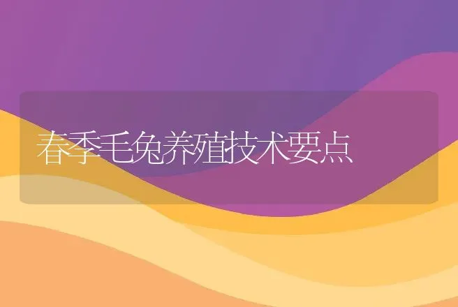 春季毛兔养殖技术要点 | 动物养殖