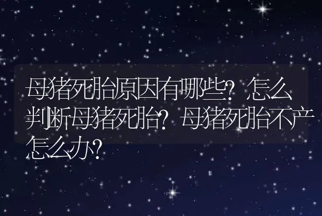 母猪死胎原因有哪些？怎么判断母猪死胎？母猪死胎不产怎么办？ | 兽医知识大全