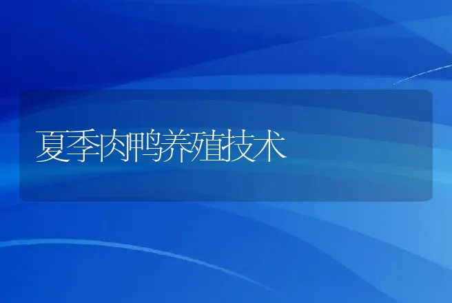 夏季肉鸭养殖技术 | 动物养殖