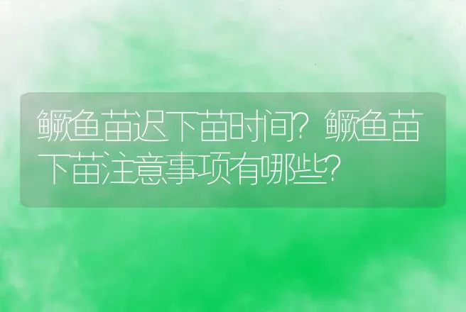 鳜鱼苗迟下苗时间？鳜鱼苗下苗注意事项有哪些？ | 水产知识