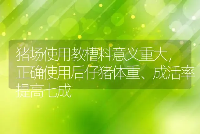 猪场使用教槽料意义重大，正确使用后仔猪体重、成活率提高七成 | 家畜养殖