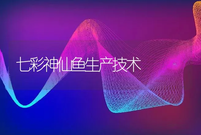 七彩神仙鱼生产技术 | 动物养殖