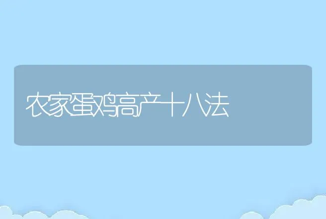 农家蛋鸡高产十八法 | 动物养殖