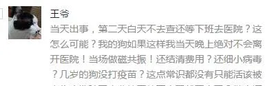 3月15日柯基诺诺最新情况汇总，已经有所好转，但仍未脱离危险！ | 宠物新闻资讯