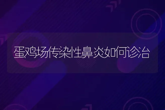 肉鸡养殖肾脏疾病的病因及防治措施 | 动物养殖