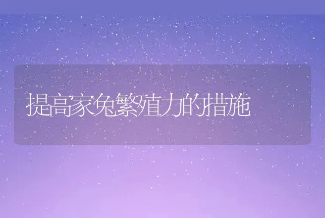 提高家兔繁殖力的措施 | 动物养殖