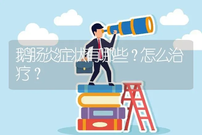 鹅肠炎症状有哪些？怎么治疗？ | 兽医知识大全