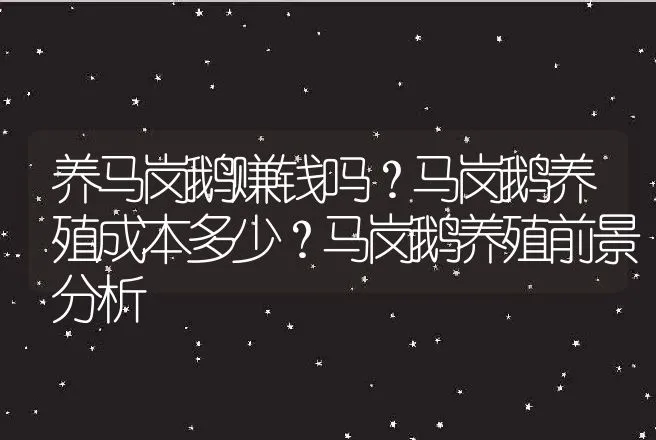 养马岗鹅赚钱吗？马岗鹅养殖成本多少？马岗鹅养殖前景分析 | 养殖致富